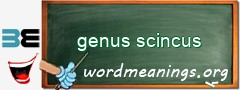 WordMeaning blackboard for genus scincus